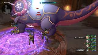 ドラクエ１０ 闇朱の獣牙兵団結界無傷 踊り目線 Youtube