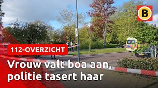 Politie tasert vrouw en lost waarschuwingsschot in park Breda | 112overzicht