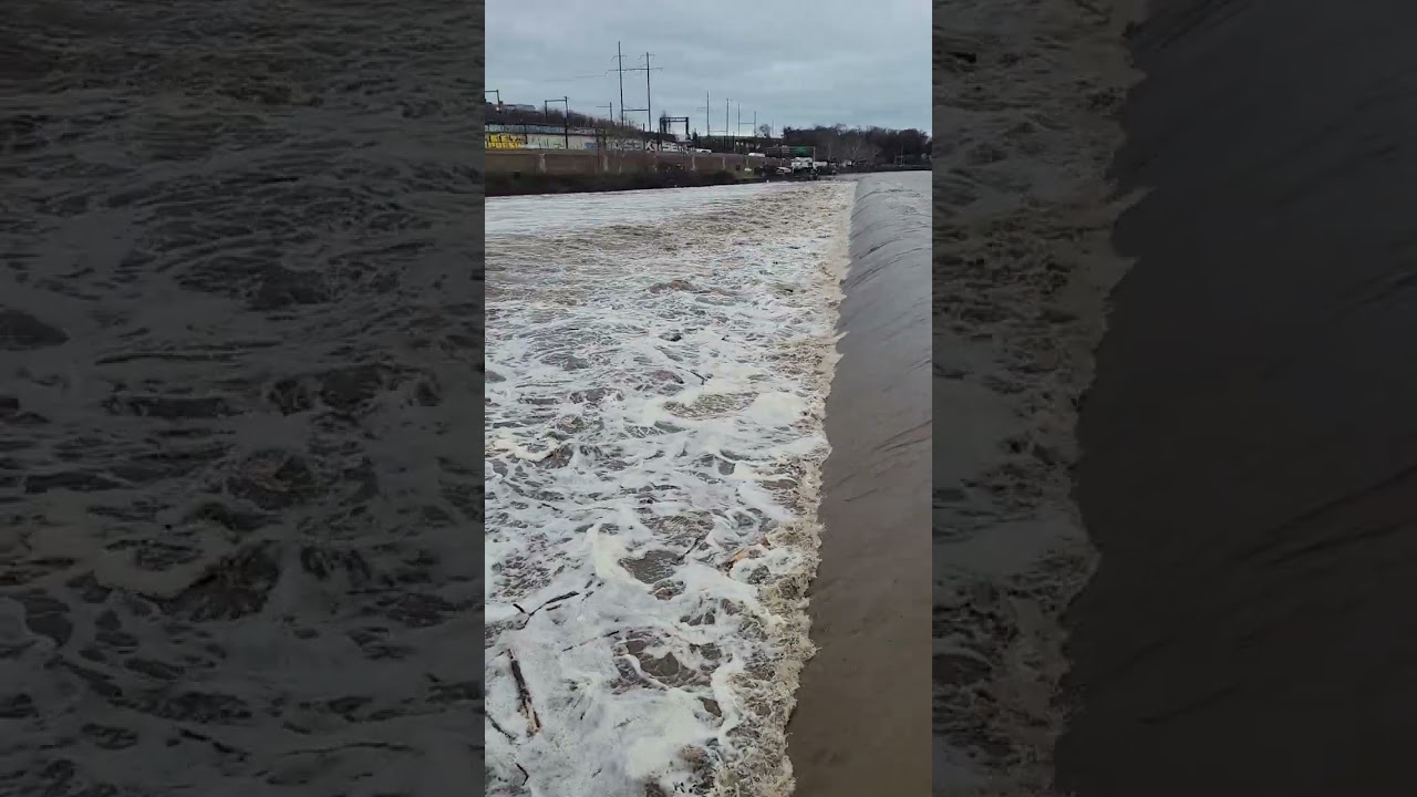 SCHUYLKILL RIVER FLOOD