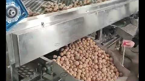 walnut grading machine,walnut sorting machine,walnut sorter