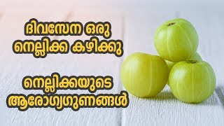 ദിവസേന ഒരു നെല്ലിക്ക കഴിക്കൂ | Health Benefits of Gooseberries | Health Tips In Malayalam screenshot 4