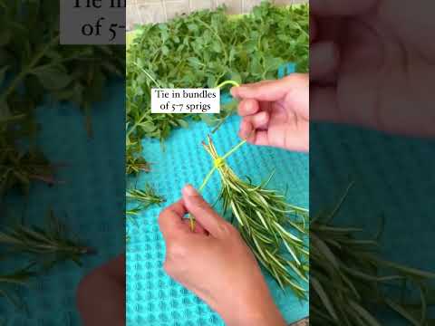 When To Harvest Herbs #shorts hqdefault