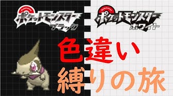 コロモリ Youtube コロモリ Youtube