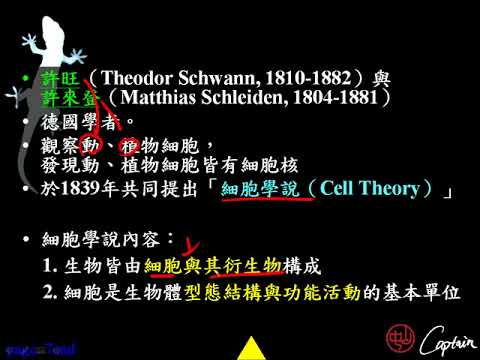 10602高一基礎生物1 2 02細胞的發現 許旺、許來登與細胞學說一禮