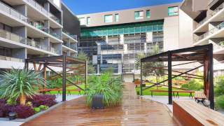 Robbie 503 23 Archibald Ave Waterloo v1