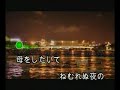 蘇州の夜