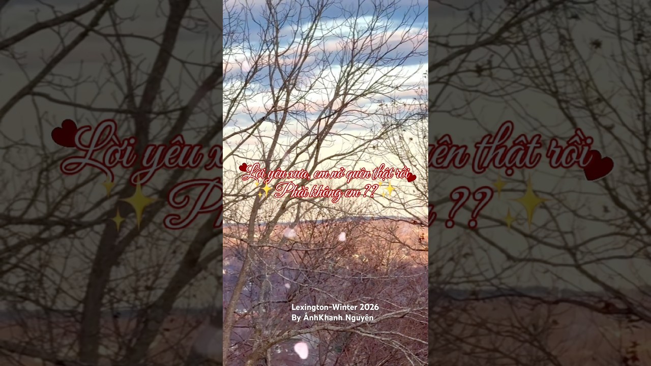 🤩Một ch&uacute;t tĩnh lặng cho h&ocirc;m nay/ Afternoon view 👀🌿