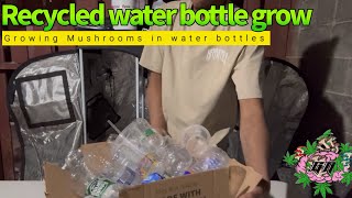 Water Bottle Grow | Growing Mushrooms in Recycled Water Bottles 