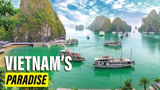 Vietnam’s Floating Paradise | DwellScape