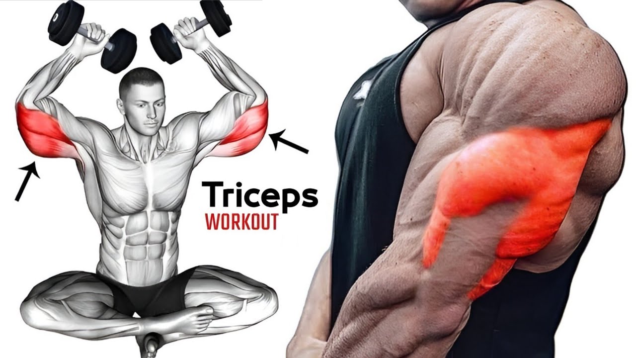 Best Dumbbells Exercises to Grow Triceps Muscle Fast - YouTube