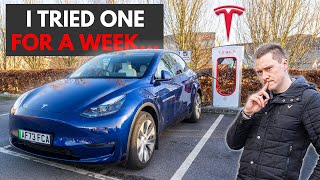 TESLA Model Y 2024 Review! | Here are my thoughts...