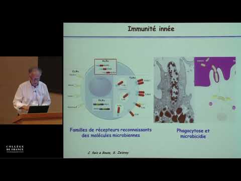 Eléments d'analyse du système immunitaire (10) - Alain Fischer (2013-2014)