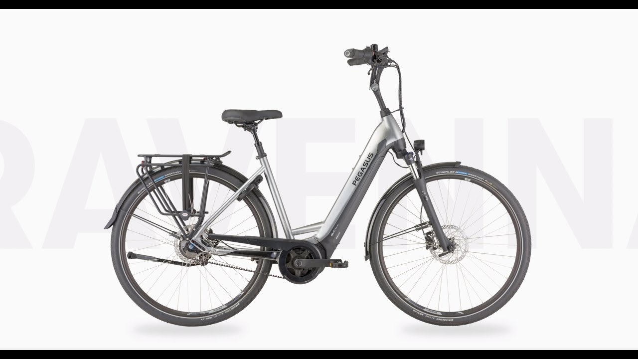 Pegasus Ravenna EVO 5 Belt (2021) - YouTube