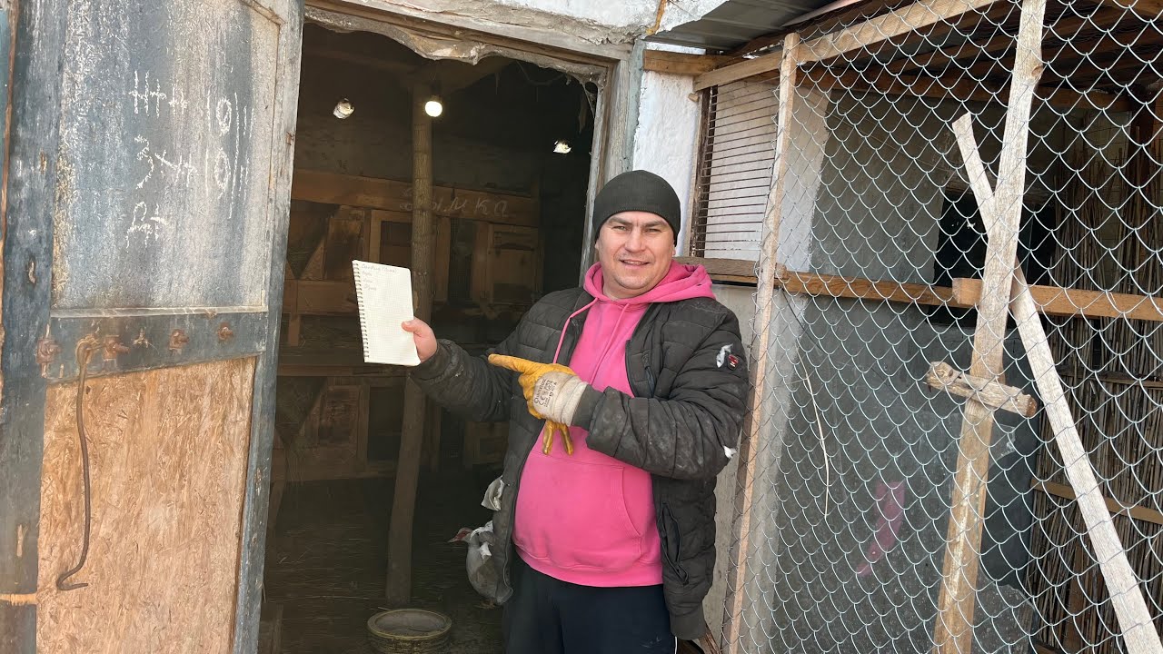 Всё подготовил к обработке. Помогите определиться. 