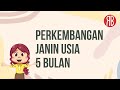 Perkembangan janin di kehamilan usia 5 bulan