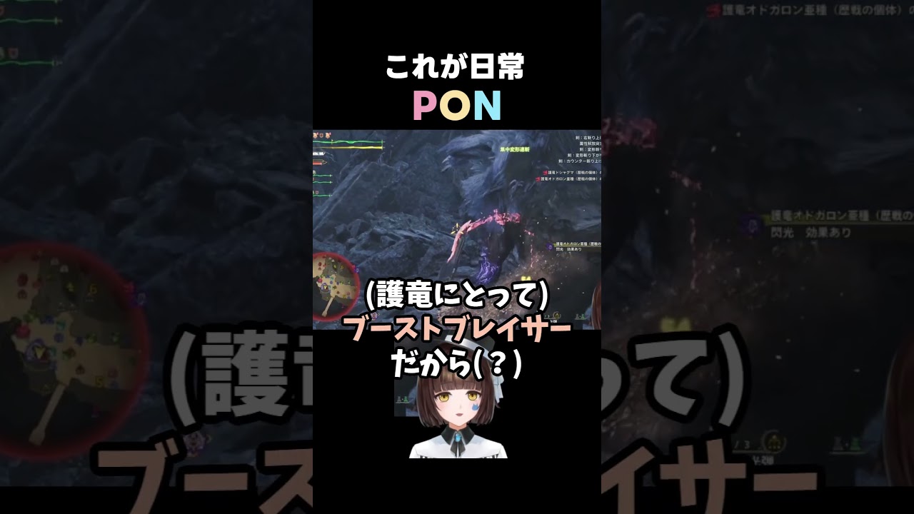 【モンハンワイルズ】毎日がPON