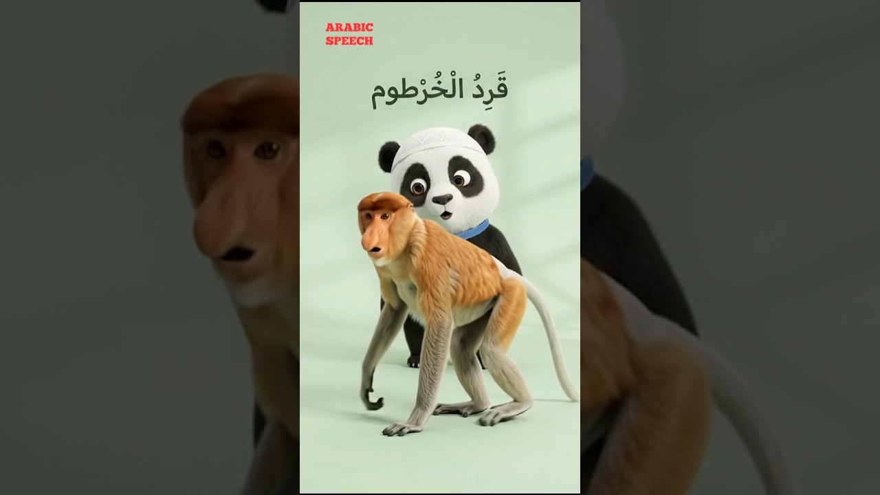 🐒🐼 Meet 12 Arabic Animal Names with Baby Panda! | Learn in Arabic for Kids | ARABIC SPEECH #shorts