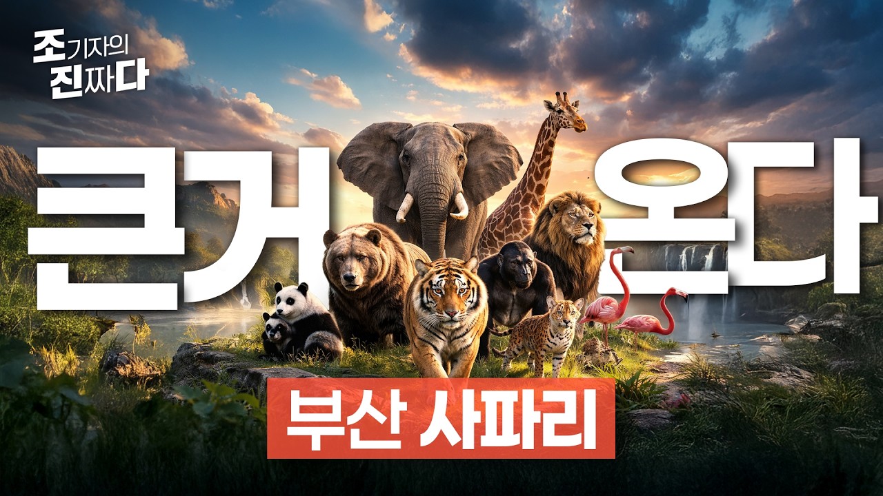 관광도시에 동물원 정도는 괜찮잖아?!... 사파리 급습 예고 /조기자의진짜다