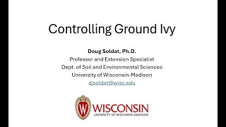 Controlling Ground Ivy