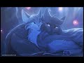 a thousand years (graystripe and silverstream)