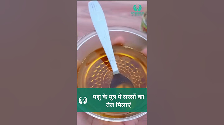 जाने कैसे घर पर ही पता लगाए पशु गाभिन है या नहीं