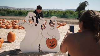 Pumpkin Patch at Limoneira Ranch