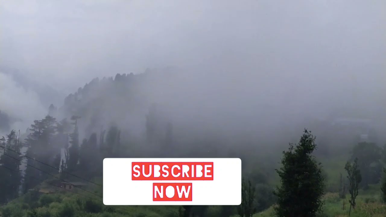 new vedio amazing nature 