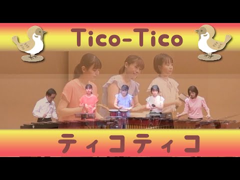 Marimba Duo - Tico -Tico ティコティコ Percussion & Marimba Ensemble 打楽器アンサンブル / マリンバ デュオ