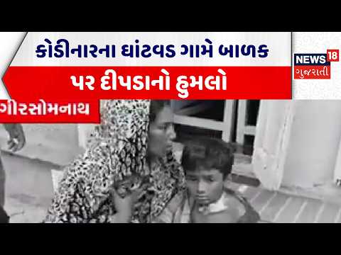Gir Somnath News | કોડીનારના ઘાંટવડ ગામે બાળક પર દીપડાનો હુમલો | Kodinar | Gujarat |News 18 Gujarati