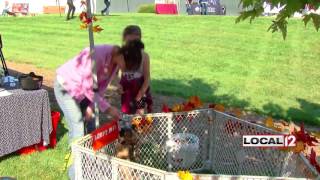 PugFair 2016: Howl-O-Ween event held for pugs, owners