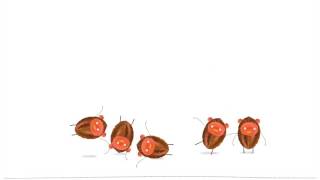 Labo Leaves - 18 Leaf Crafts & Activities for Kids 3+ screenshot 5