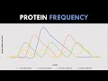 Protein Frequency | Nutrition for Body Composition