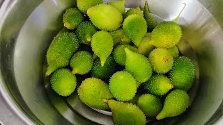 Kakore Ki Sabji Kantole Ki Sabji Kantola Fry Kakora Fry Recipe Lunch Box Recipe.