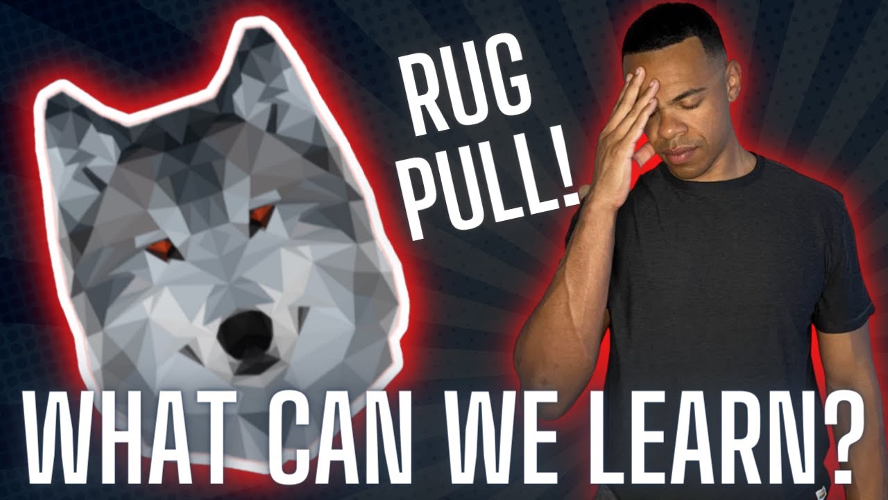 The Mononoke Inu RUG PULL! What can we learn?