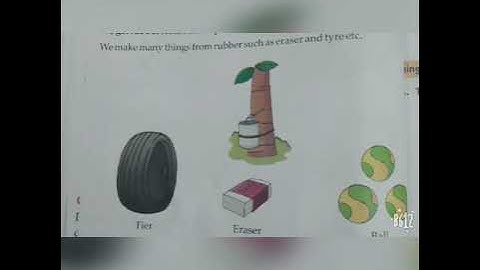 Ecps class 1 EVS Chapter 10 plants I see part 2