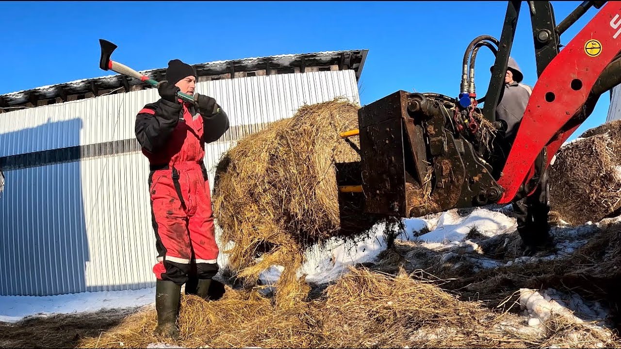 Rulonams reikia ,,kirvis power” - Jcb krautuvas užšalo