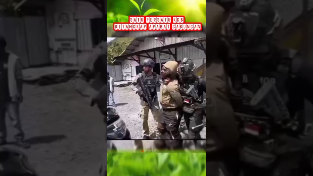 Makin lama makin berkurang pasukan kkb 😂 