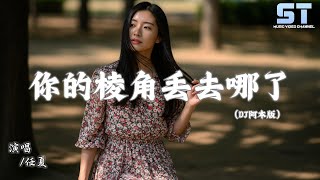 任夏 - 你的棱角丢去哪了 (DJ阿本版) 『你的棱角丢去哪了 骄傲丢去哪了，那个爱笑的你也不见了』【拼音動態歌詞 | PinYin Lyrics】
