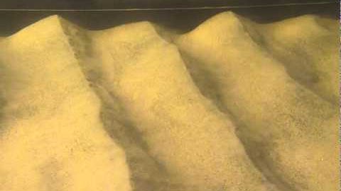 Oscillatory flow over wave ripples