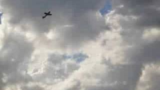 Nitro CAP232 flying