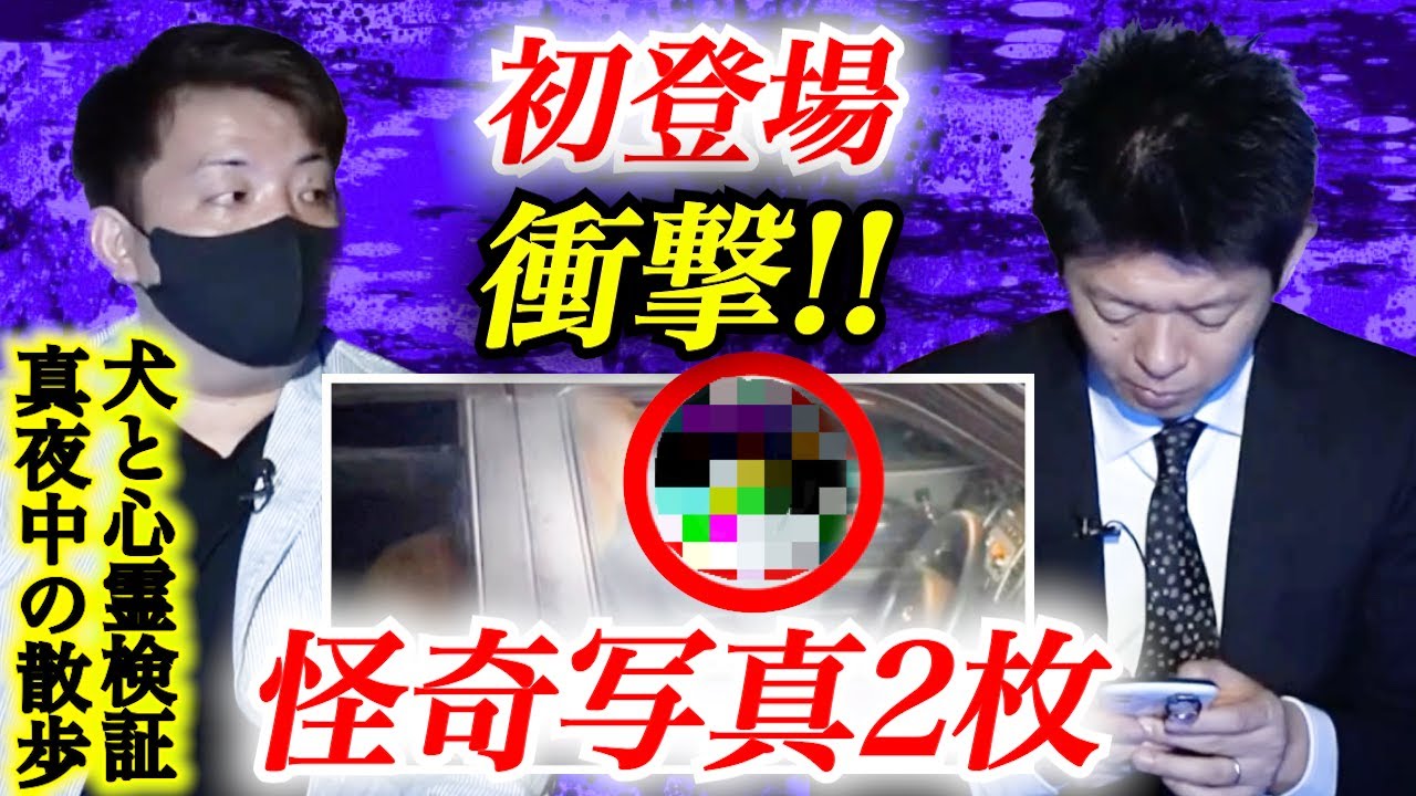 Midnight Walk] Yoshibon makes his first appearance with two