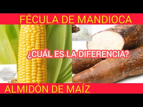 Vídeo: Diferencia Entre Almidón De Tapioca Y Almidón De Maíz