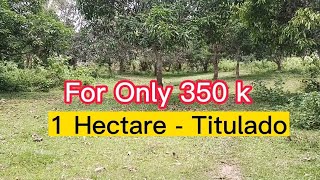 V #449   For Only 350 k 1 Hectare Titulado, May Kalsada