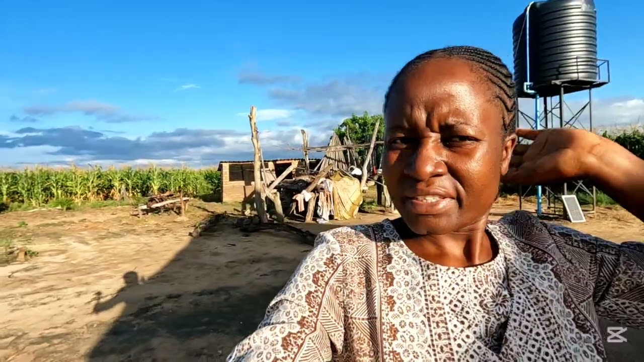 Типичное утро в сельской местности Зимбабве 🌄