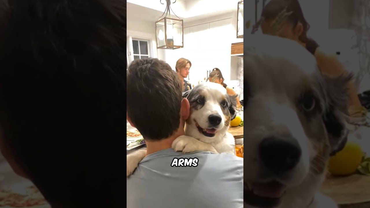 Pup Won’t Let Me Leave Again! 😍 Holiday Reunion 