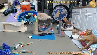 Stan's 20180425 Spiker + couch + Coralie