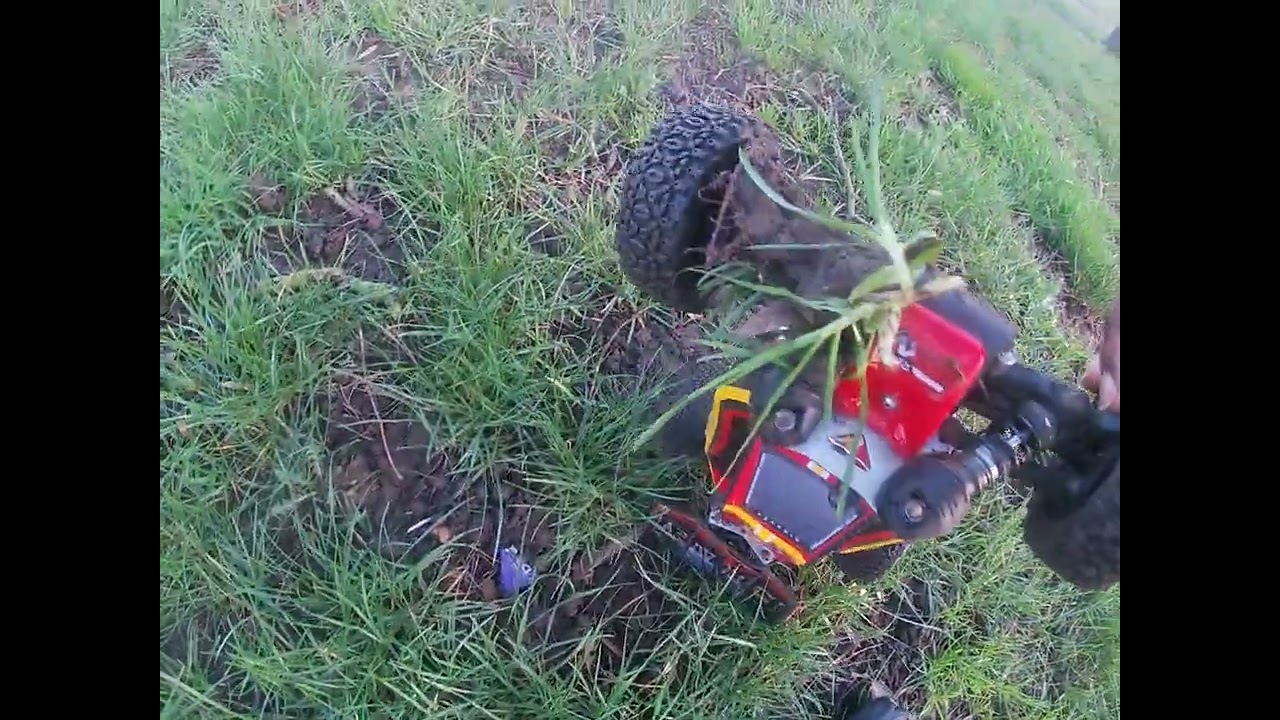 Dikavey BX12, tough like beef 🥩