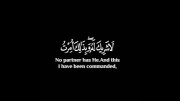 #قران_كريم #ياسر_الدوسري #شاشه_سوداء #سورة_الأنعام #استغفر_الله #اللهم_صل_وسلم_على_نبينا_محمد