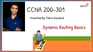 Dynamic Routing Basics