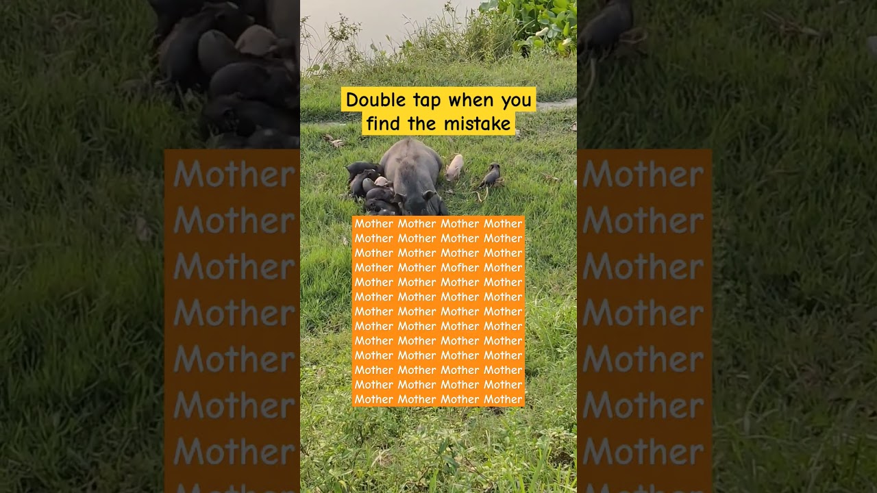 Find the mistake IQ test 